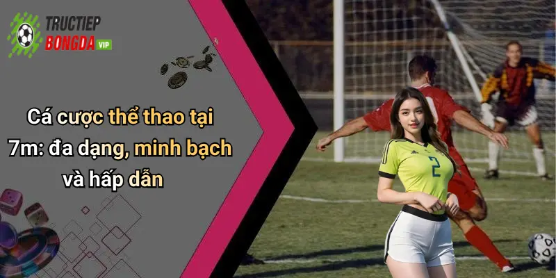 Cá cược thể thao tại 7m: đa dạng, minh bạch và hấp dẫn