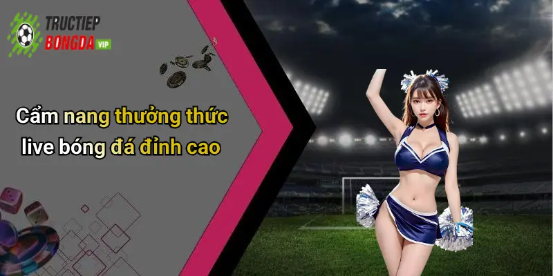 Cẩm nang thưởng thức live bóng đá đỉnh cao