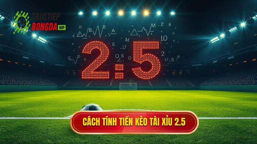 Cách tính tiền trong kèo tài xỉu 2.5 toàn trận