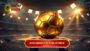 Soi kèo bóng đá các trận đấu CONMEBOL: Cẩm nang từ chuyên gia